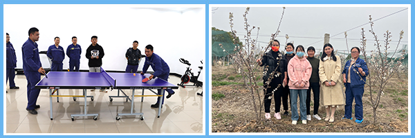 1705455269640732.png 圖片4.png